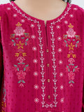 2-piece-lawn-suit-embroidered