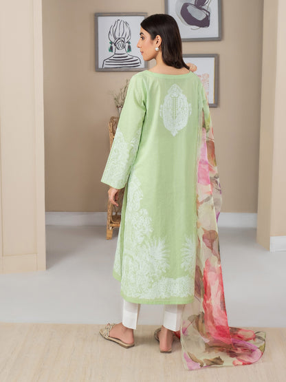 2 Piece Lawn Suit-Paste Print (Pret)