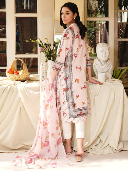 2 Piece Lawn Suit-Paste Print (Pret)