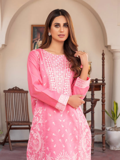 2 Piece Lawn Suit-Embroidered (Pret)