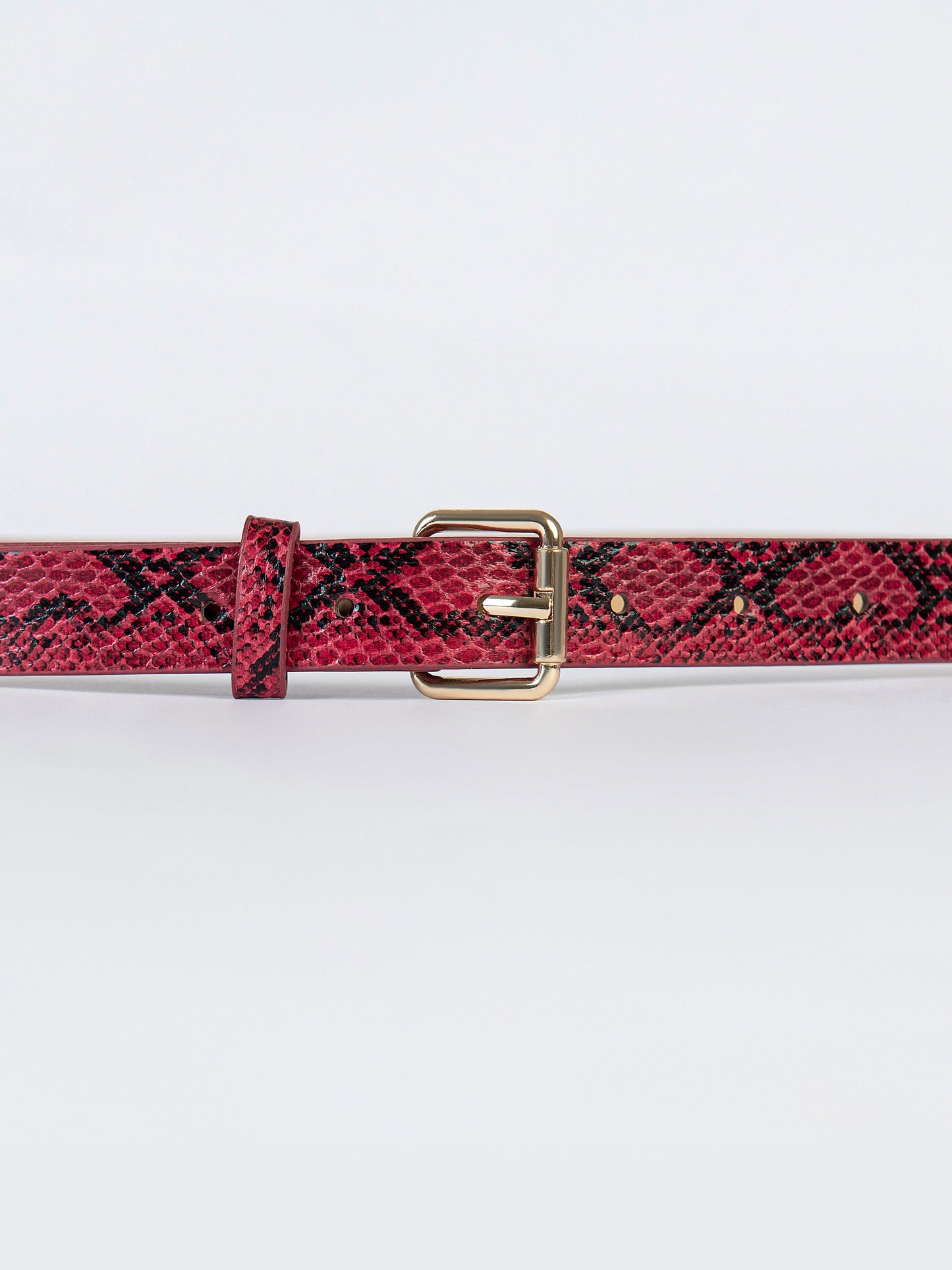 Snake Textured Belt