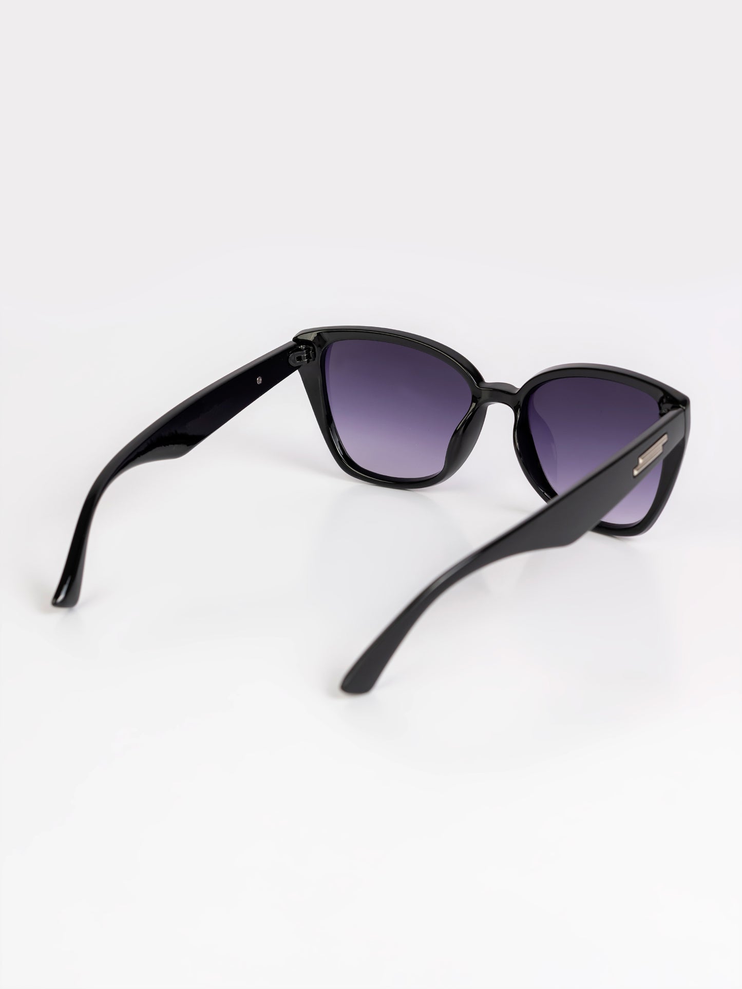 Wayfarer Sunglasses