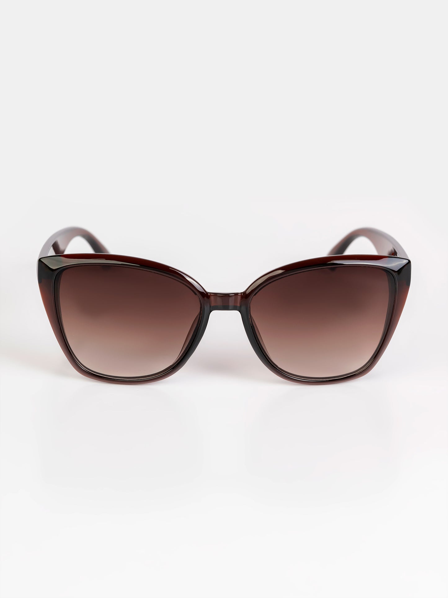 Wayfarer Sunglasses