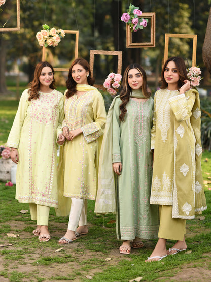 2 Piece Lawn Suit-Embroidered (Unstitched)