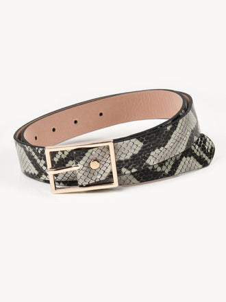 printed-belt