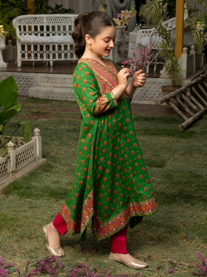 Embroidered Lawn Frock