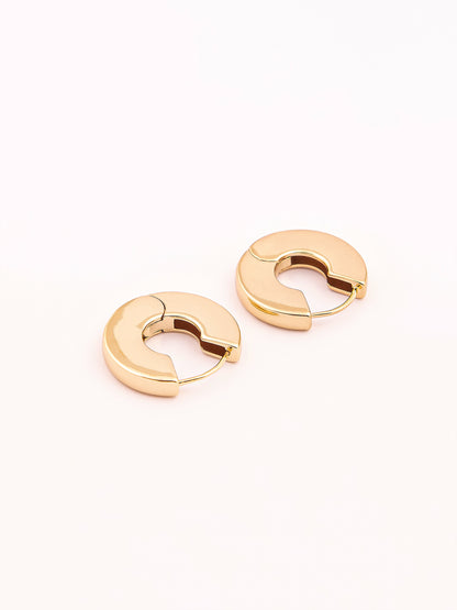 Metallic Hoop Earrings