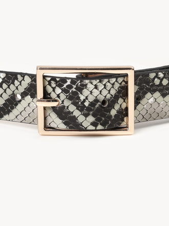 printed-belt