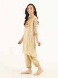 2-piece-chiffon-suit-embroidered-(pret)