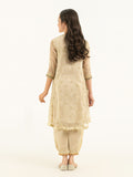 2-piece-chiffon-suit-embroidered-(pret)