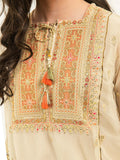 2-piece-chiffon-suit-embroidered-(pret)